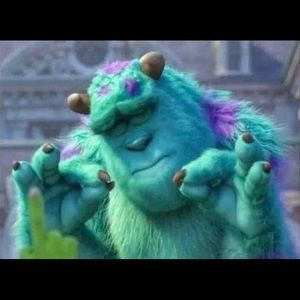 Meet your Posher, Jana